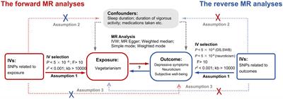 Using genetic variations to reveal the complex relationships between <mark class="highlighted">vegetarianism</mark> and well-being, depressive symptoms and neuroticism